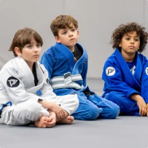 Progresso BJJ Kids Plano