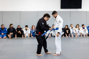 Belts BJJ in plano